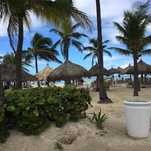 Meet your Posher, Jane